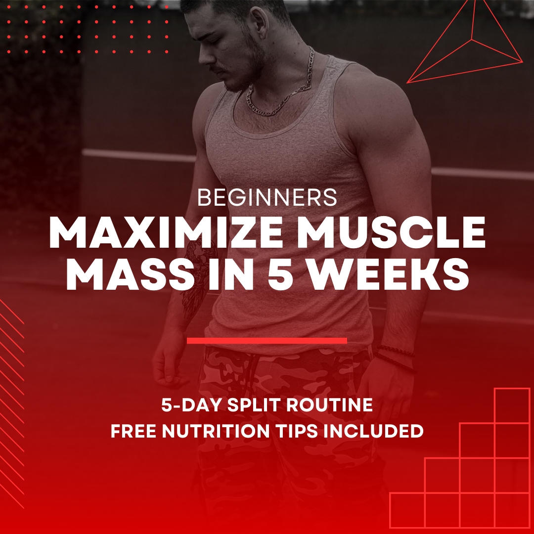 Maximize Muscle Mass in 5 Weeks: Begginers